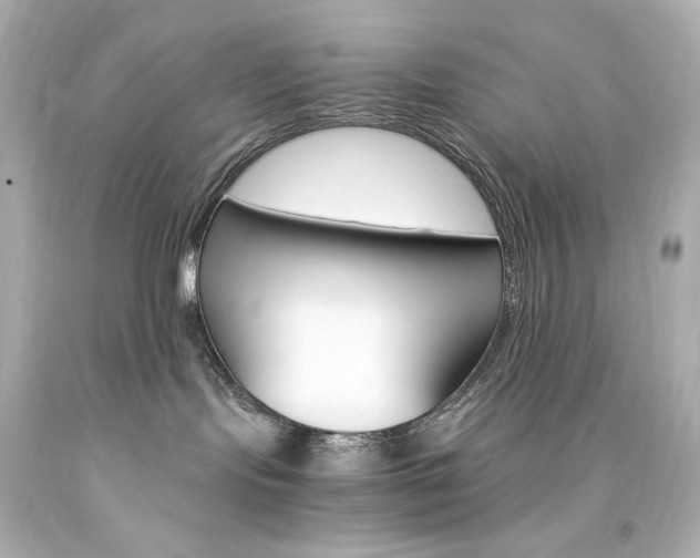 X0000094360095200711021346