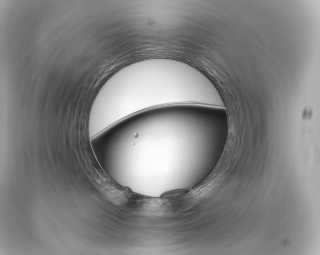X0000094360096200711021346