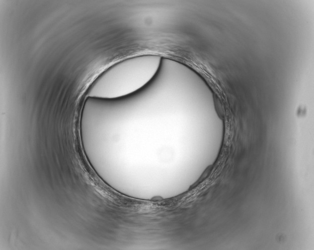 X0000094360098200711021345