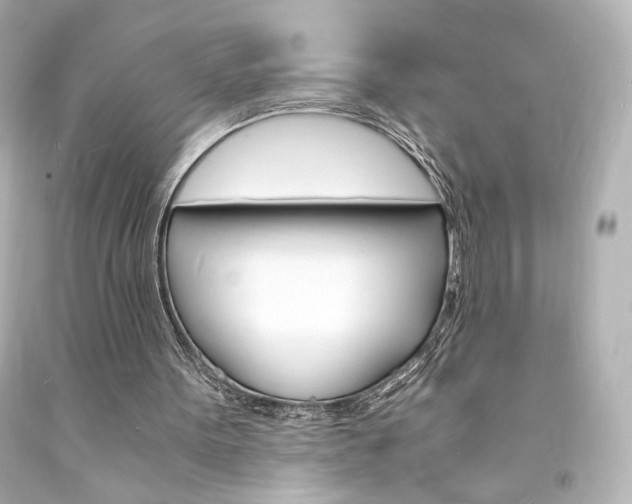 X0000094360099200711021345