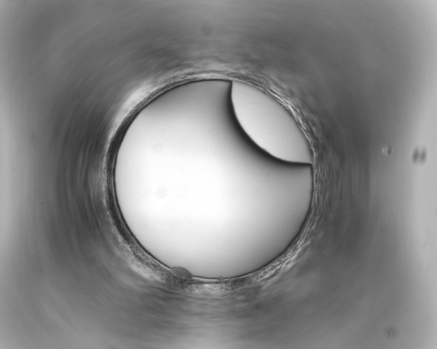 X0000094360102200711021345