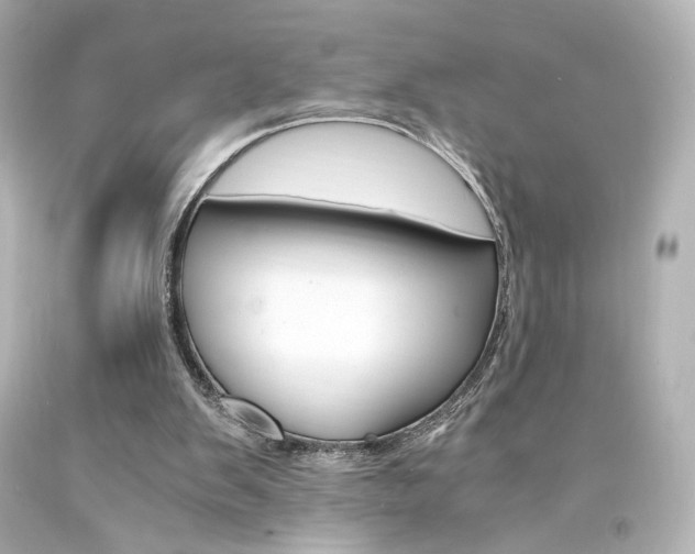 X0000094360103200711021345