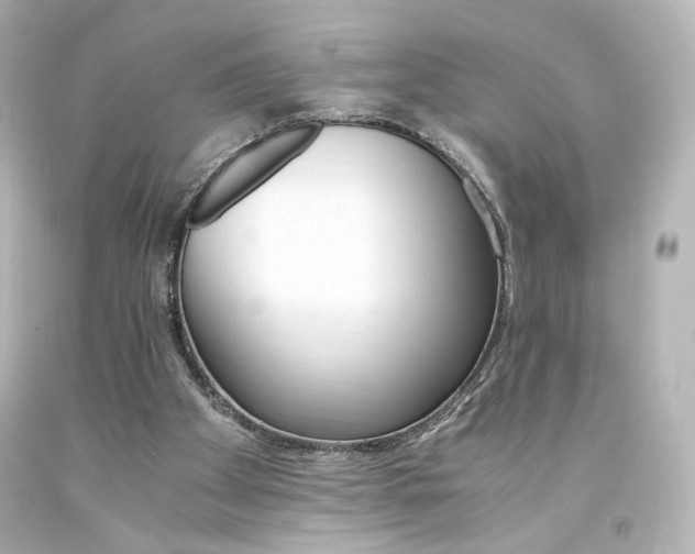 X0000094360105200711021345