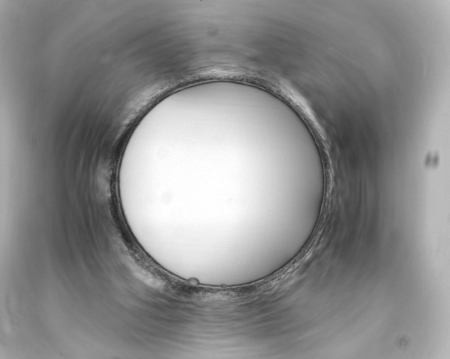 X0000094360106200711021345
