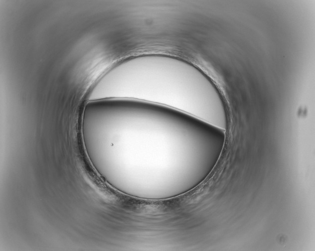 X0000094360107200711021345
