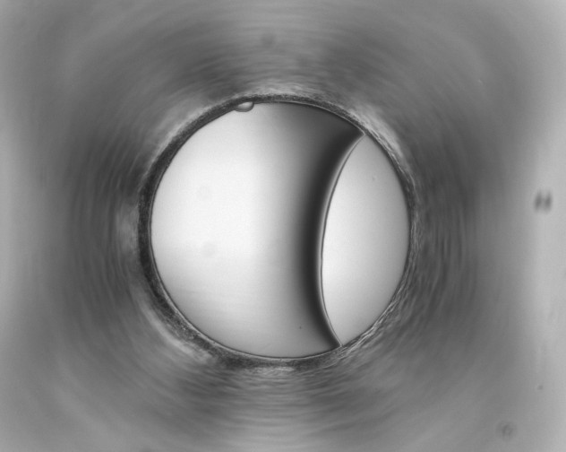 X0000094360108200711021345