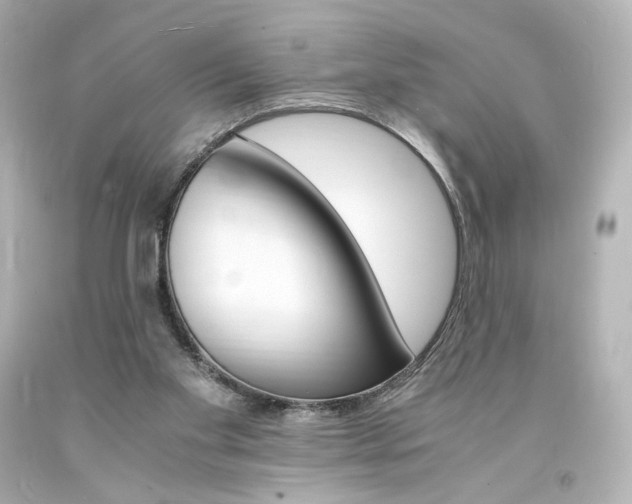 X0000094360109200711021345