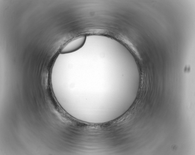 X0000094360110200711021345