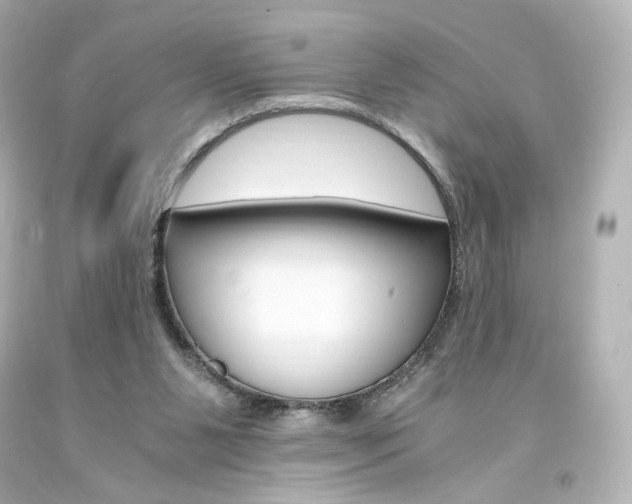 X0000094360111200711021345