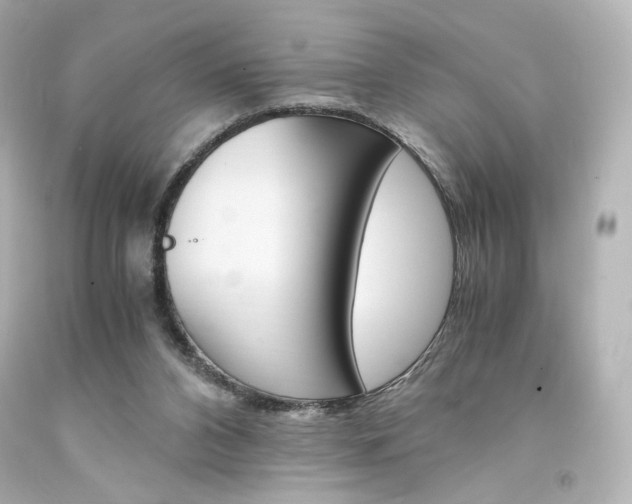 X0000094360112200711021345