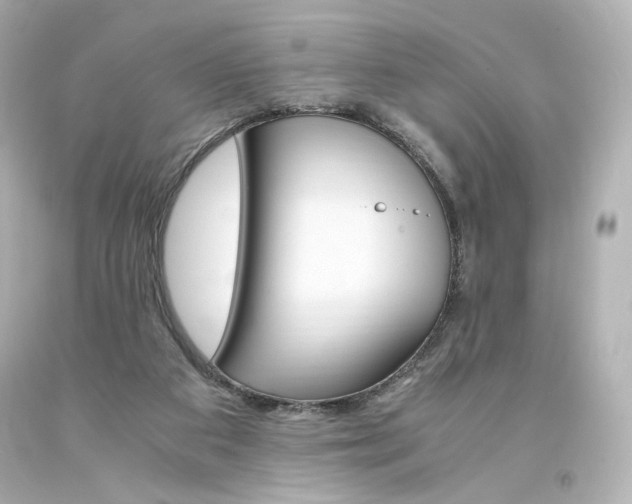 X0000094360113200711021345