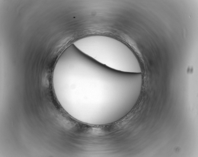 X0000094360114200711021345