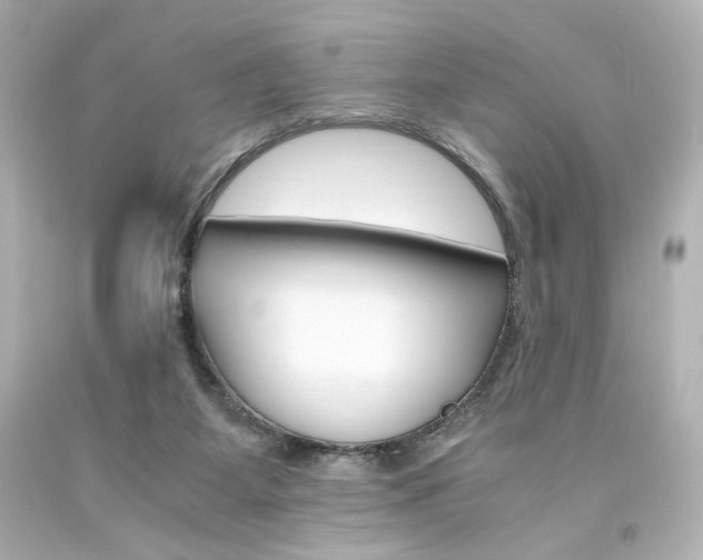X0000094360115200711021345