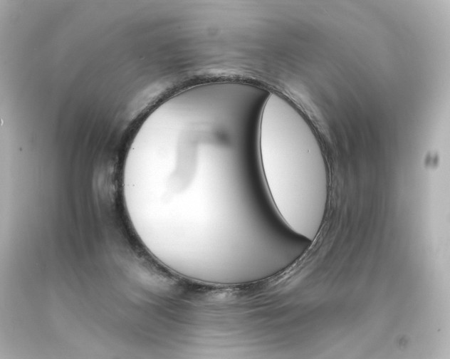 X0000094360116200711021345