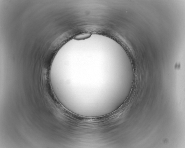 X0000094360117200711021345