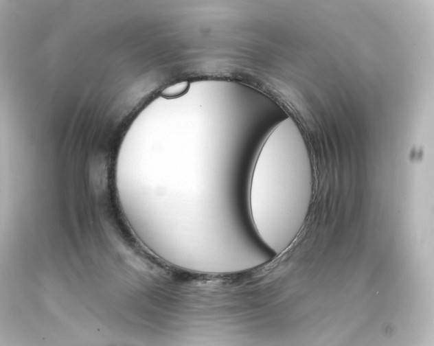 X0000094360120200711021345