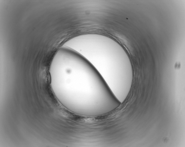 X0000094360121200711021345