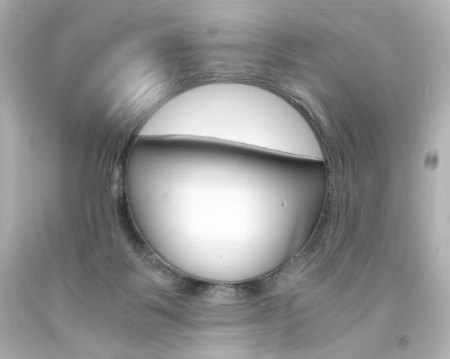 X0000094360123200711021345