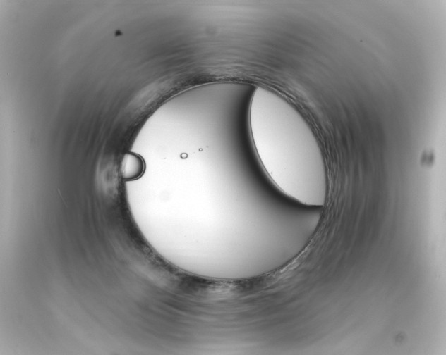 X0000094360124200711021345
