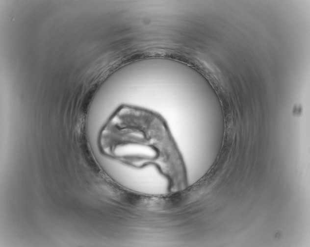 X0000094360125200711021345