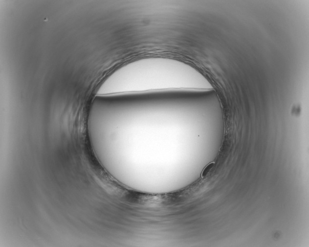 X0000094360131200711021345