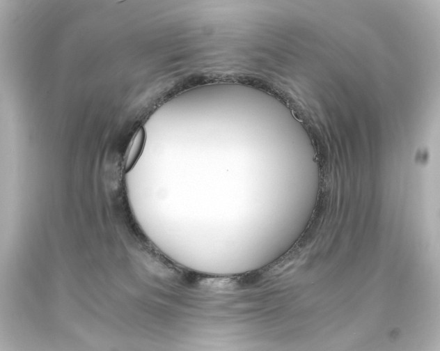 X0000094360133200711021345