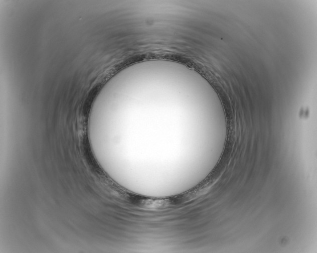 X0000094360135200711021345