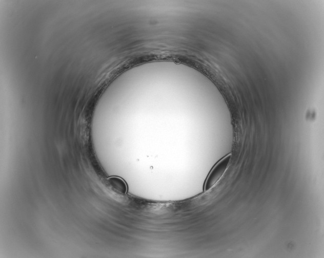 X0000094360136200711021345