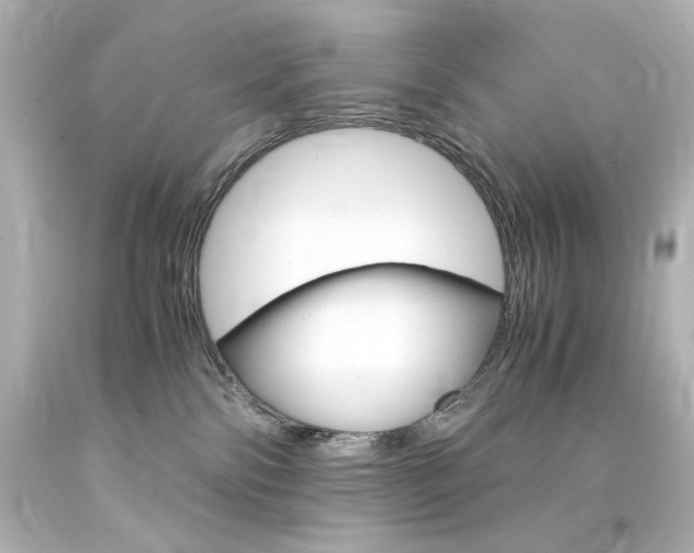 X0000094360138200711021345