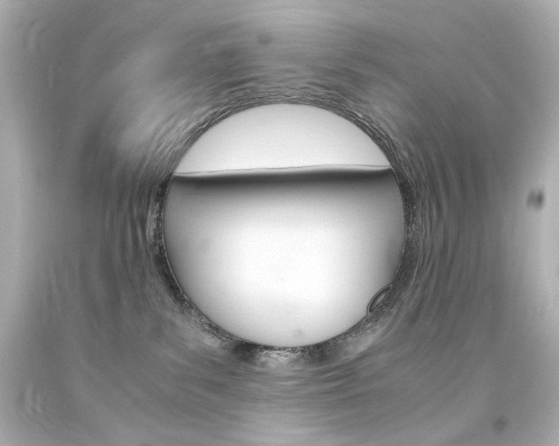 X0000094360139200711021344