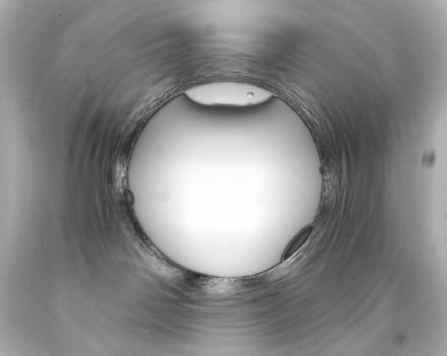 X0000094360142200711021344