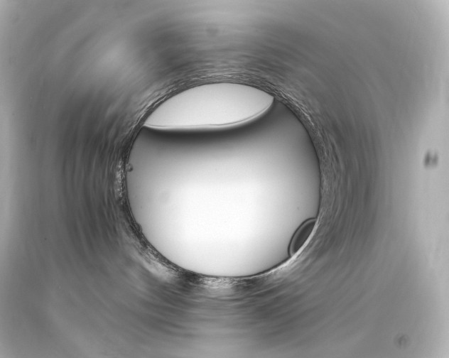 X0000094360144200711021344