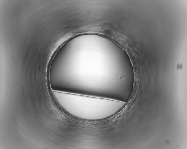 X0000094360148200711021344