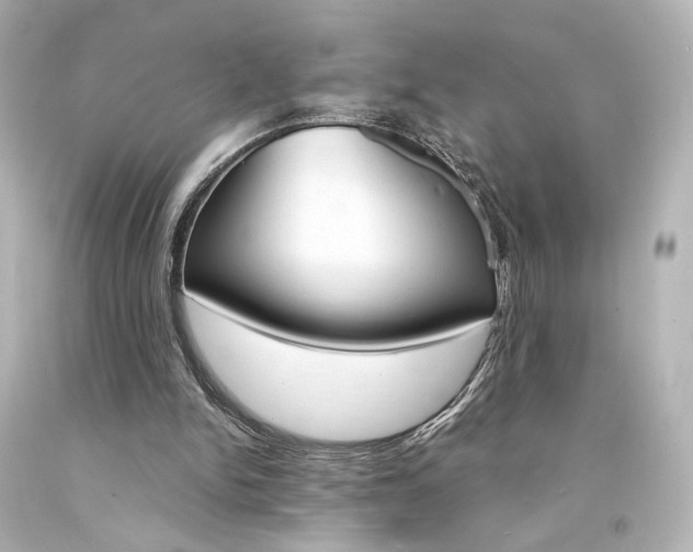 X0000094360150200711021344
