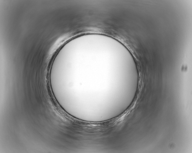 X0000094360151200711021344