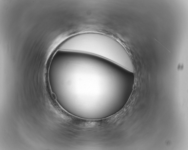 X0000094360152200711021344