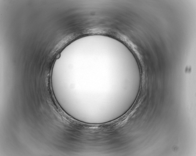 X0000094360153200711021344
