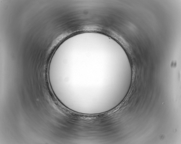 X0000094360155200711021344