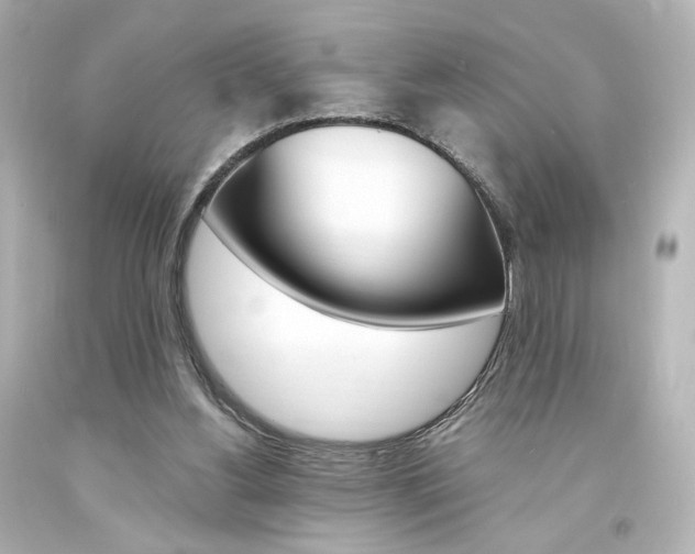 X0000094360156200711021344