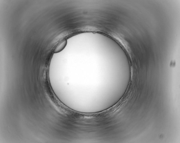 X0000094360157200711021344
