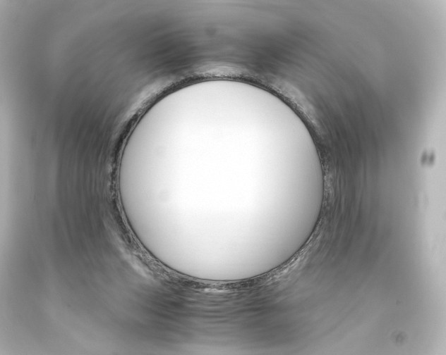 X0000094360159200711021344