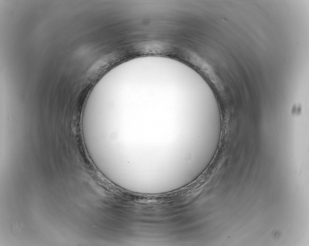 X0000094360161200711021344