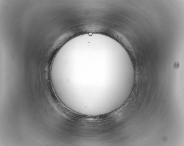 X0000094360163200711021344