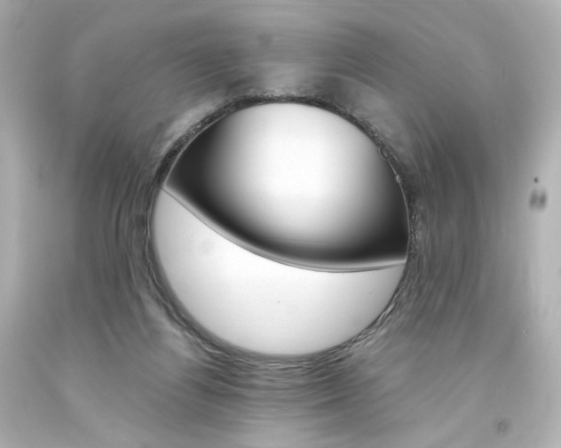 X0000094360164200711021344