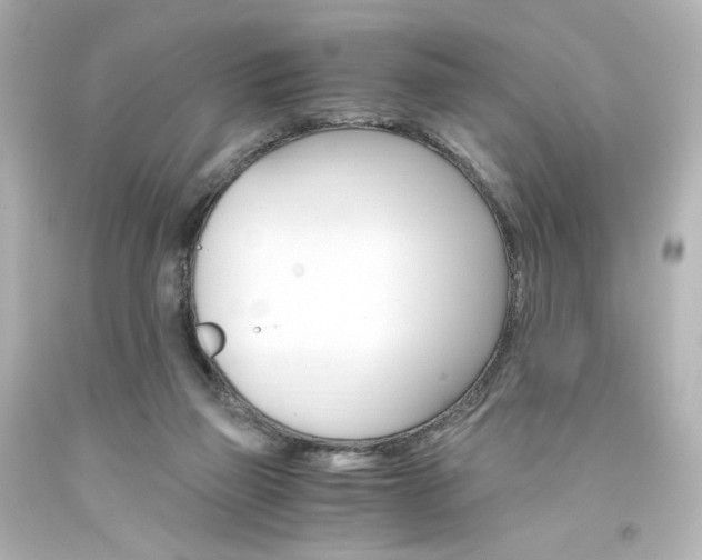 X0000094360165200711021344
