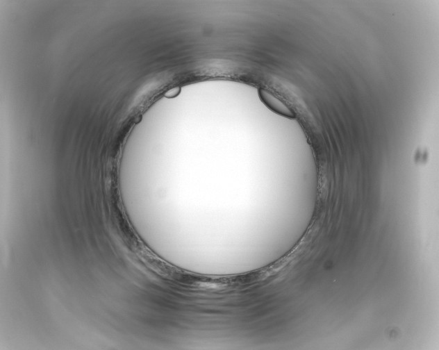 X0000094360167200711021344