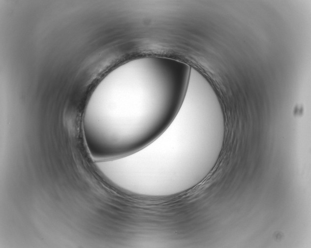 X0000094360168200711021344