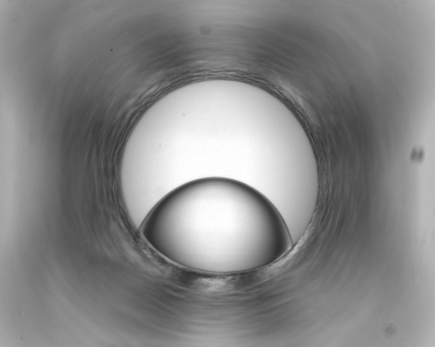 X0000094360170200711021344