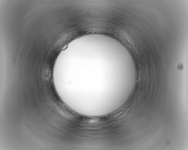 X0000094360173200711021344