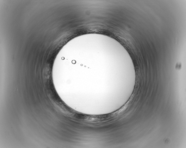 X0000094360174200711021344